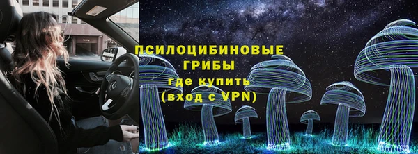 экстази Алексин