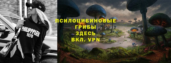 экстази Алексин