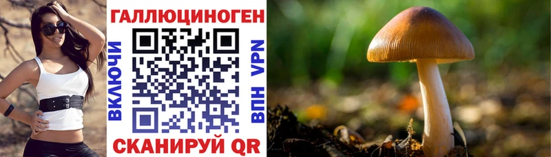 Псилоцибиновые грибы MAGIC MUSHROOMS  mega ссылка  Апрелевка  купить наркотики цена 
